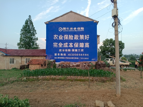 玉林墙体广告为何受追捧？